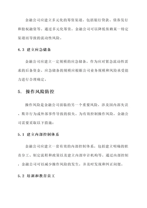 金融公司风险防控方案