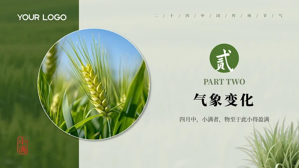 绿色小满节气介绍通用模板