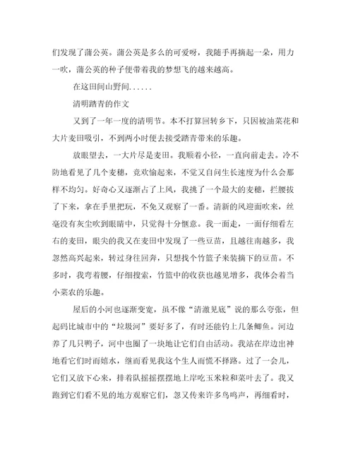 清明踏青的作文450字