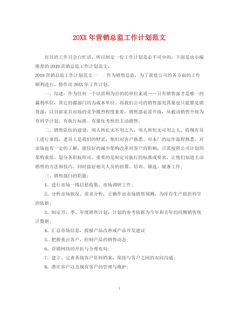 精编之营销总监工作计划范文.docx