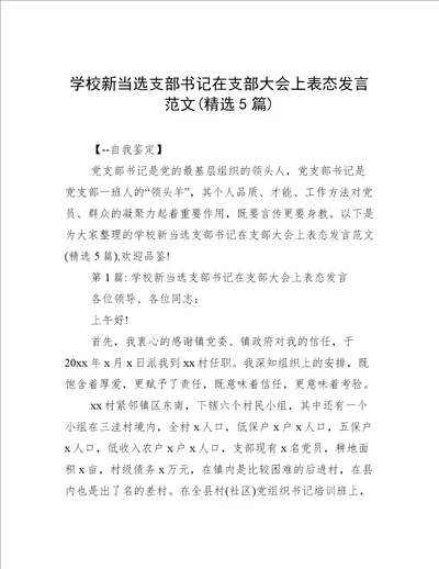 学校新当选支部书记在支部大会上表态发言范文(精选5篇)