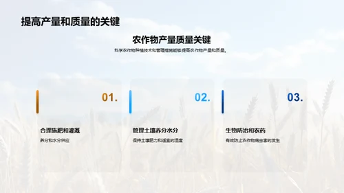 农业种植：智慧之选