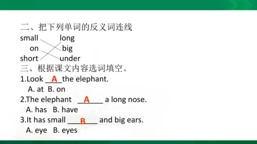 期中复习