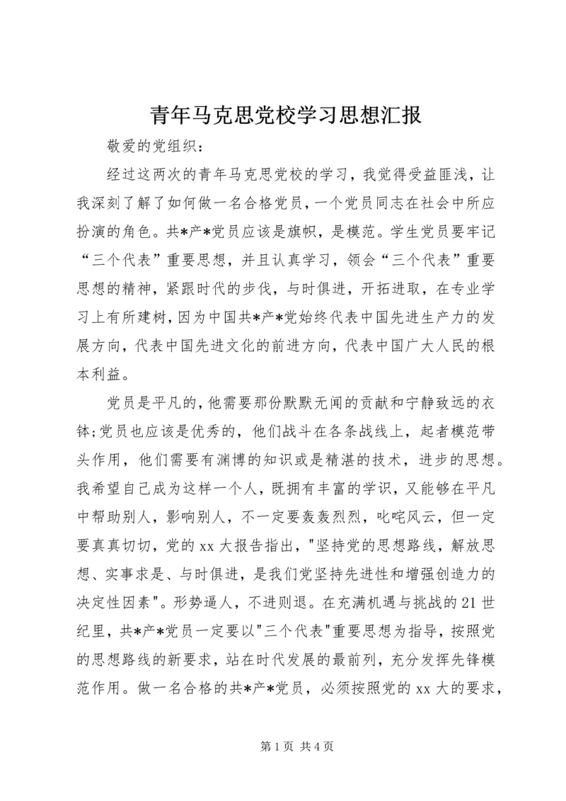 青年马克思党校学习思想汇报.docx