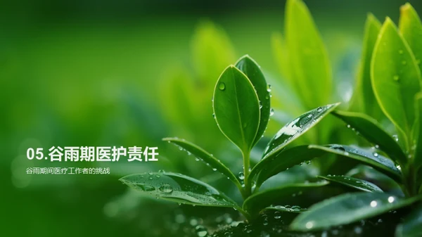 谷雨时节，保健之道