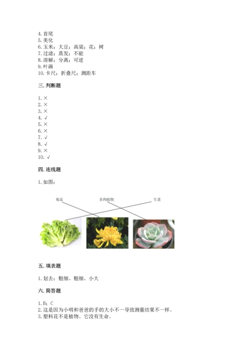 教科版一年级上册科学期末测试卷带答案（b卷）.docx