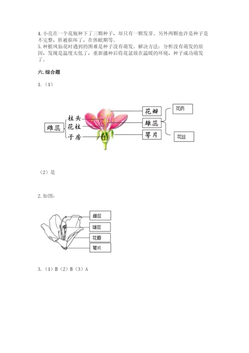 科学四年级下册第一单元《植物的生长变化》测试卷（基础题）.docx