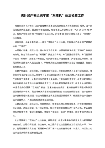 统计局严密组织年度“双随机”执法检查工作.docx