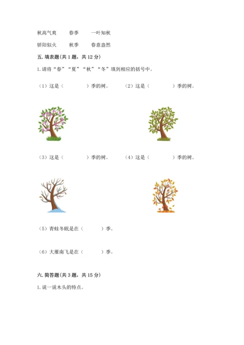 教科版二年级上册科学期末测试卷精品（必刷）.docx