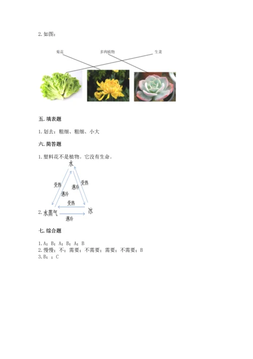 教科版科学一年级上册第一单元《植物》测试卷（夺冠系列）.docx