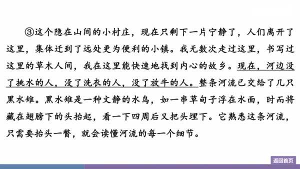 八年级上册 第四单元  群文阅读：散文“荟” 训练提升课件(共26张PPT)