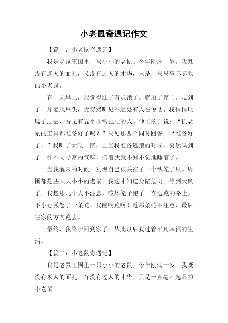 小老鼠奇遇记作文.docx