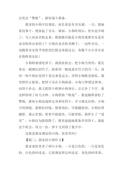 我家的小狗作文450字-1.docx