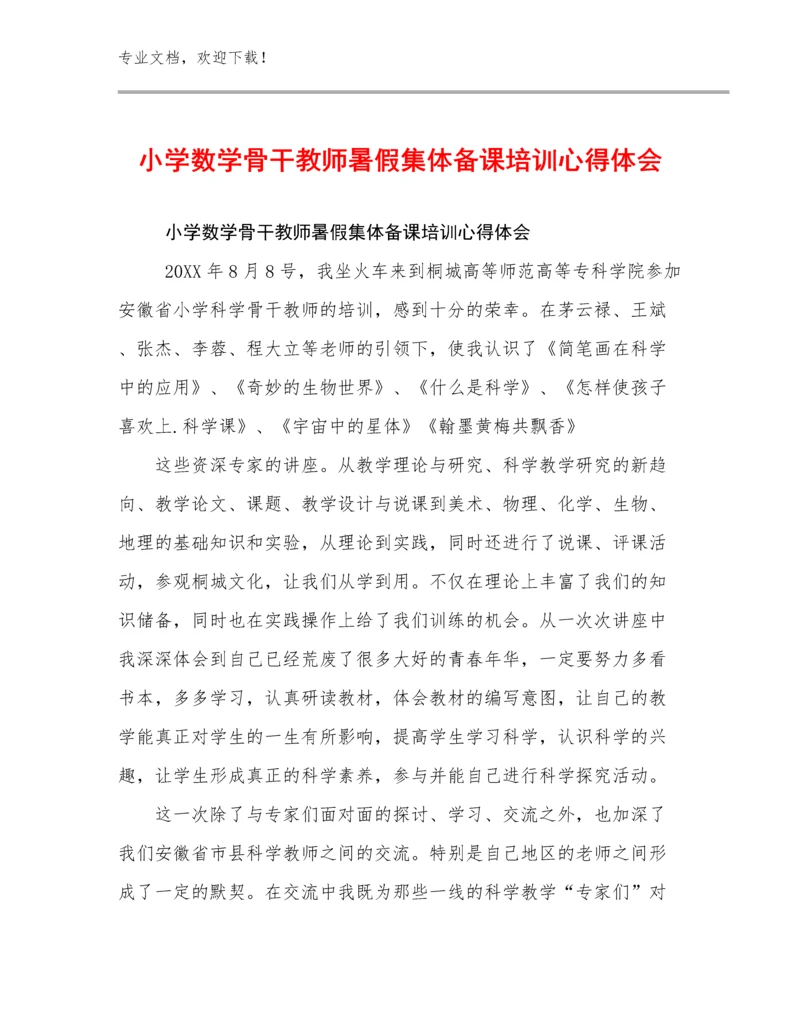 小学数学骨干教师暑假集体备课培训心得体会例文16篇文档合集.docx