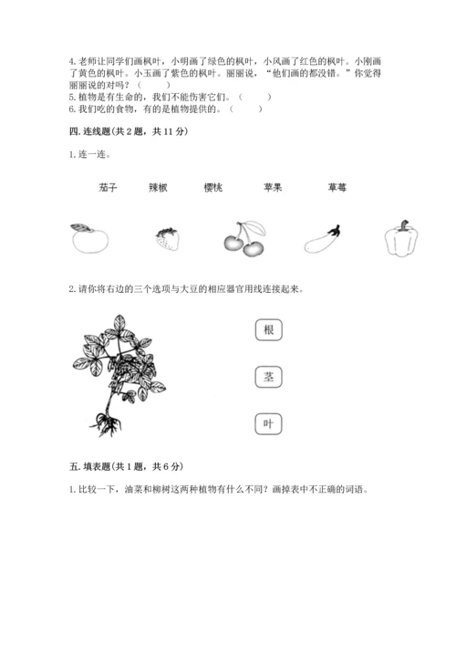 教科版科学一年级上册第一单元《植物》测试卷含完整答案（网校专用）.docx