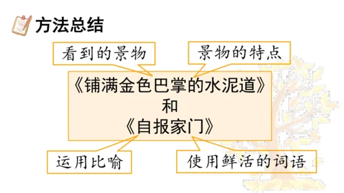 5 铺满金色巴掌的水泥道