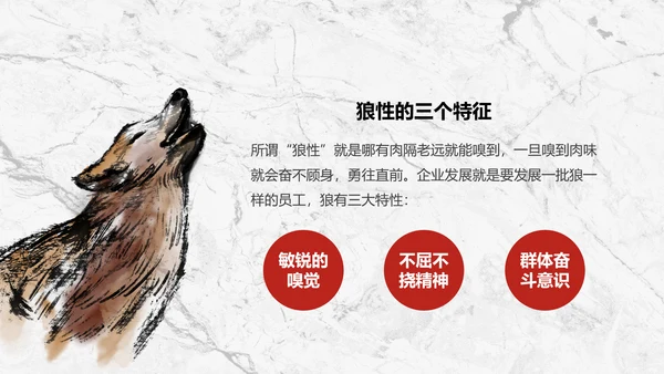 团队企业文化狼性文化员工培训PPT