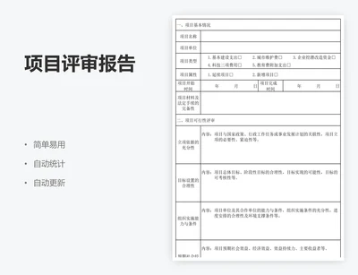 项目评审报告