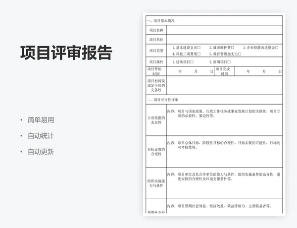 项目评审报告