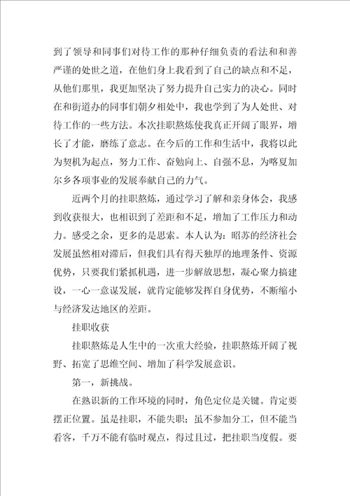 农村个人挂职工作总结优秀9篇