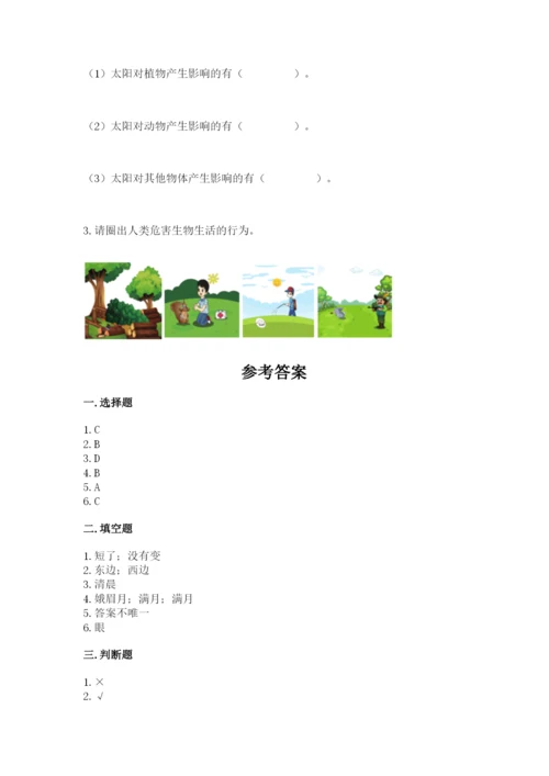 教科版小学二年级上册科学期末测试卷（考点精练）.docx