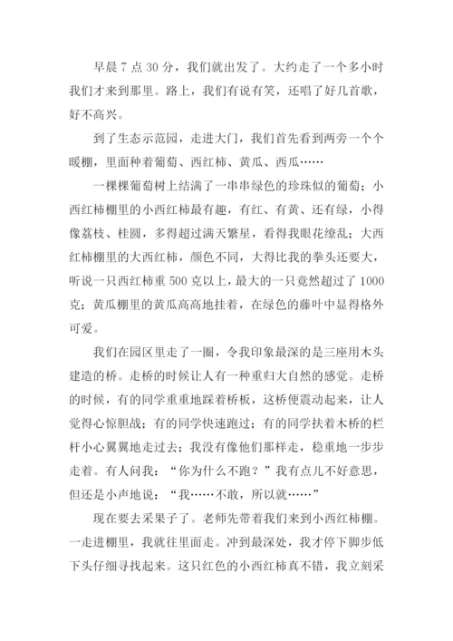 快乐的儿童节作文-1.docx