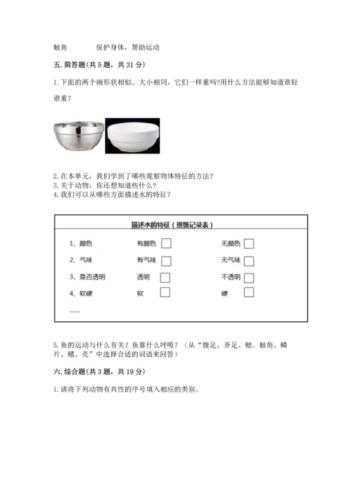 教科版一年级下册科学期末测试卷附参考答案（基础题）.docx