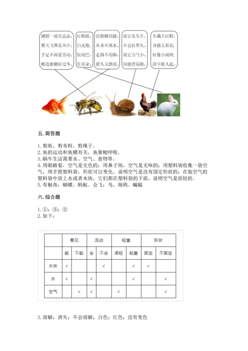 教科版一年级下册科学期末测试卷【黄金题型】.docx