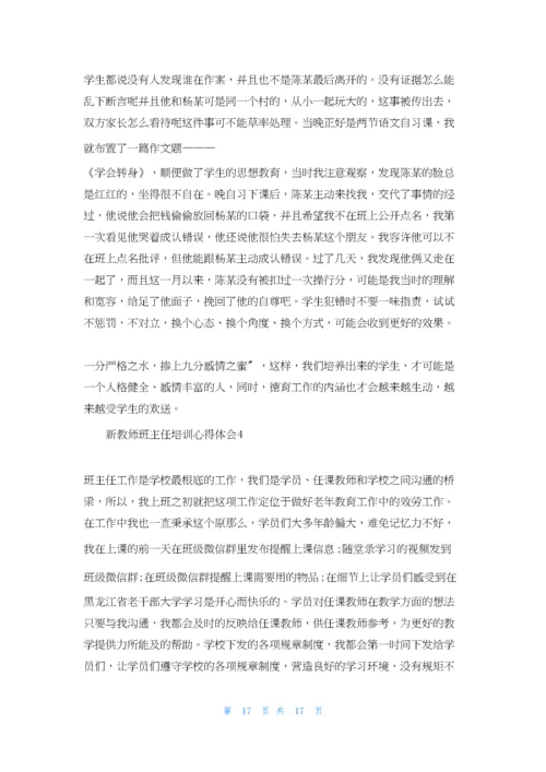 新教师班主任培训心得体会.docx