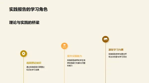 实践报告精要