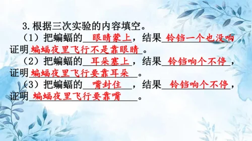 部编版语文四年级上册第二单元复习课件