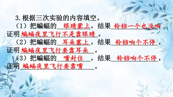 部编版语文四年级上册第二单元复习课件