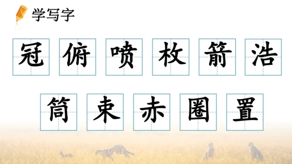 7 什么比猎豹的速度更快 第一课时 课件