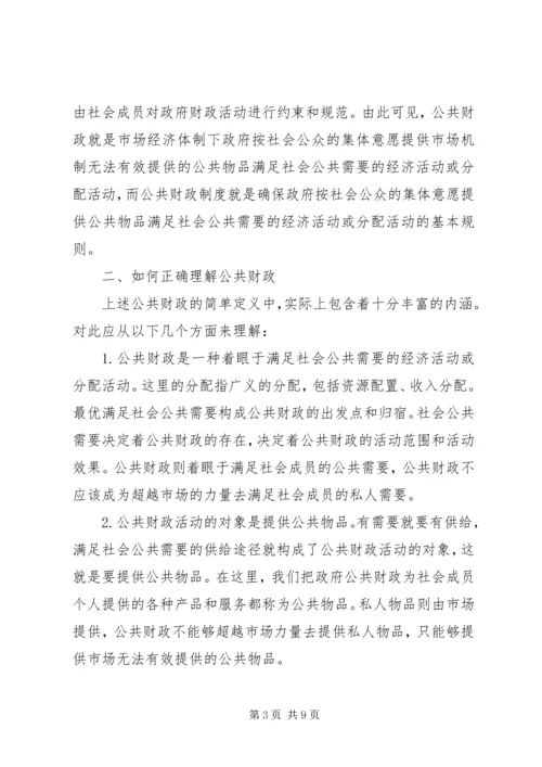 公共财政理论再思考.docx