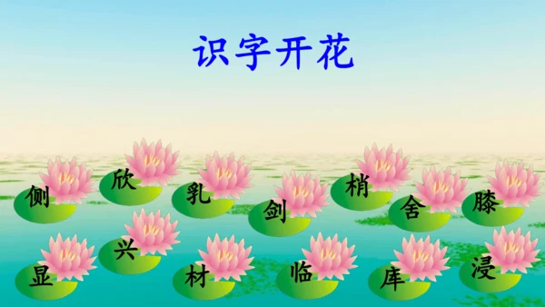 第20课《美丽的小兴安岭》课件