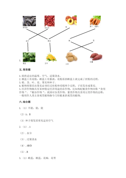 教科版四年级下册科学第一单元《植物的生长变化》测试卷（a卷）.docx