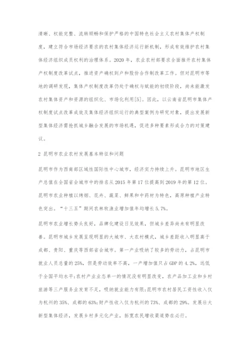 发展壮大新型农村集体经济的路径探索.docx