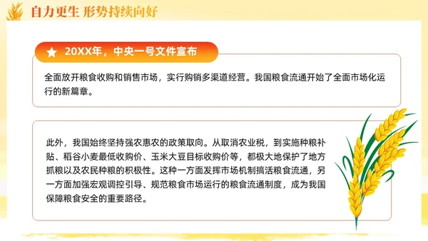 大学生形势与政策保障粮食安全的中国策ppt课件党建
