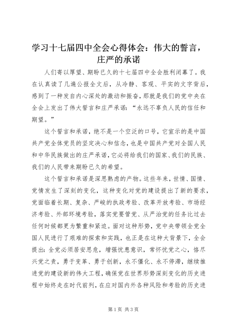 学习十七届四中全会心得体会：伟大的誓言，庄严的承诺.docx