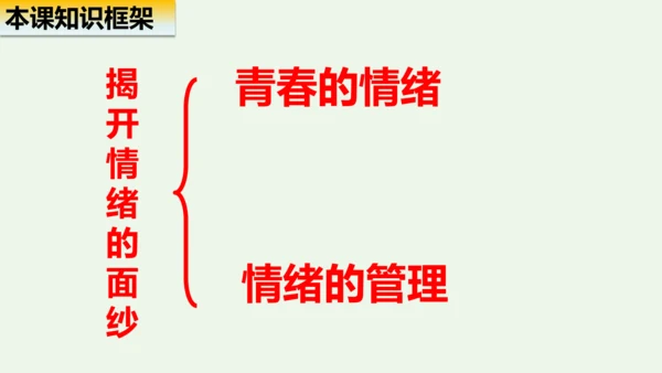 第四课 揭开情绪的面纱 复习课件（28张PPT）