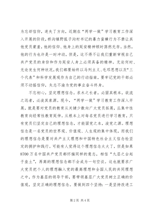 弘扬延安精神,坚守党的信仰,坚定理想信念,坚持根本宗旨.docx