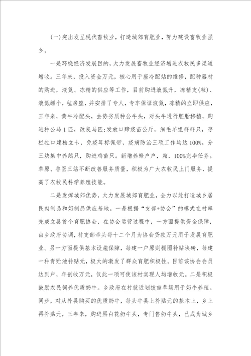 乡终年终述职述廉汇报