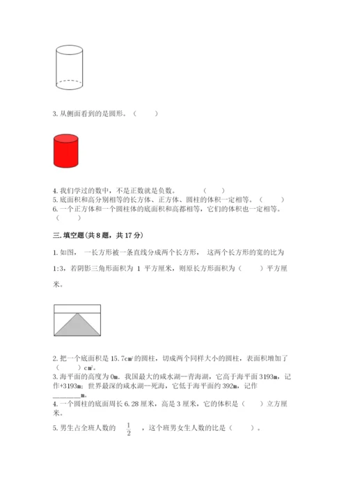 天津市宝坻区六年级下册数学期末测试卷及参考答案.docx