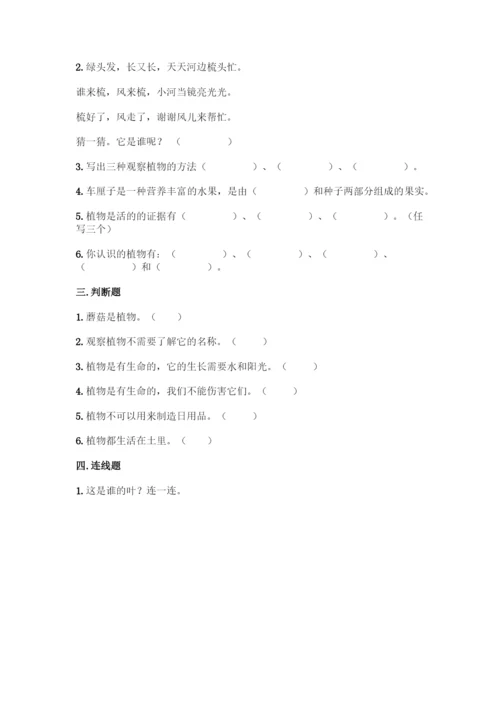 教科版科学一年级上册第一单元 植物 测试卷精品【精选题】.docx