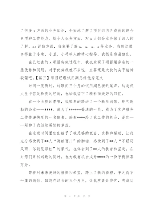 项目经理试用期总结优秀范文.docx