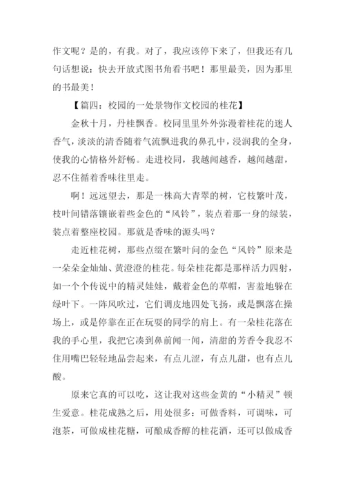 描写校园的一处景物作文.docx