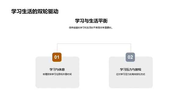 三年级学习之旅