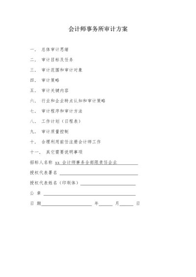 会计师事务所审计专项方案.docx