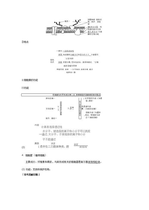 人教通用2020版高考生物大一轮复习第二单元细胞的基本结构和物质的运输第4讲细胞膜和细胞核讲义
