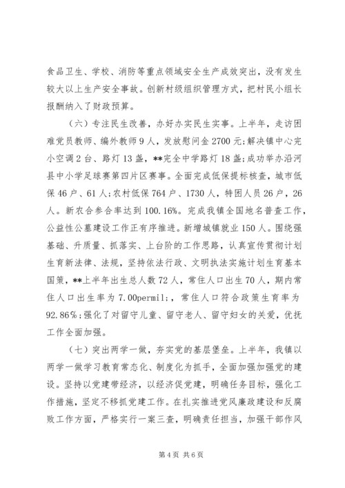 精选镇上半年工作总结和下半年工作计划.docx